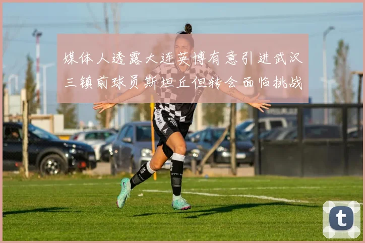 媒体人透露大连英博有意引进武汉三镇前球员斯坦丘但转会面临挑战